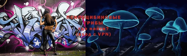 PSILOCYBIN Верея